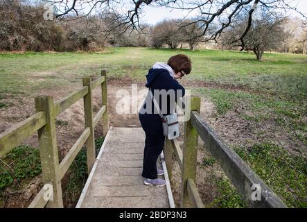 Eine reife Dame allein auf Ditchling Common, East Sussex, im Frühling, auf einer kleinen Brücke zwischen hohen Bäumen stehend, die in einen Bach blicken Stockfoto