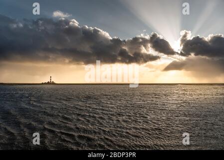 Leuchtturm Westerherversand, Westerhever, Nordsee, Schleswig-Holstein, Deutschland, Europa Stockfoto