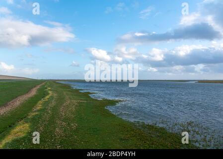 Küstenlandschaft, Westerhever, Nordsee, Schleswig-Holstein, Deutschland, Europa Stockfoto