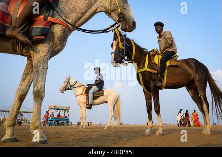 Pferde und ihre Reiter am Marina Beach, Chennai, Indien Stockfoto