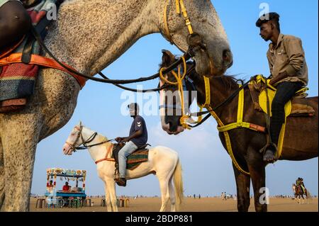 Pferde und ihre Reiter am Marina Beach, Chennai, Indien Stockfoto