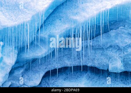 Nahaufnahme von Eiszapfen, die vom blauen Eis des Smeerenburg Gletschers, Svalbard, hängen Stockfoto