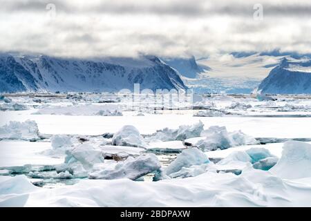 Eis im Polarkreis bei 80 Grad Nord einpacken, mit den Bergen und Gletschern von Spitzbergen im Hintergrund und Möwen im Eis im Vordergrund Stockfoto