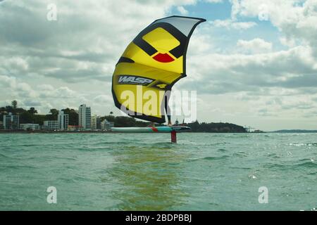 Ein Mann wingfoils in Auckland Hafen an einem Sommertag, mit einem Hand gehalten aufblasbaren Flügel und Reiten ein Tragflächenboot Surfboard. Rangitoto Island. Stockfoto