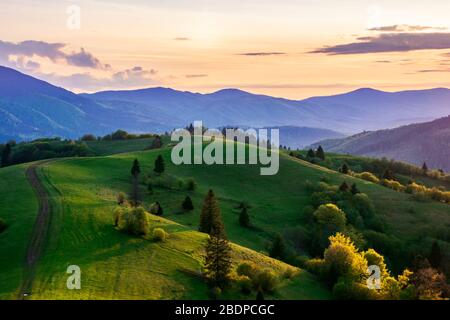 Bergige Landschaft im Frühling in der Dämmerung. Pfad Bäume auf den sanften Hügeln. Grat in der Ferne. Wolken am Himmel. Schöne ländliche Landschaft von Stockfoto