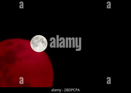 Großer, strahlender, dramatischer weißer Mond mit rotem Reflexionshintergrund. Perigee Nacht, Mond am nächsten zur Erde Stockfoto