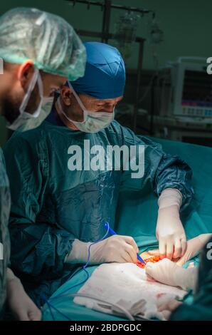 Ein sicherer Chirurg operiert einen Patienten in einem Operationssaal in einem Krankenhaus Stockfoto