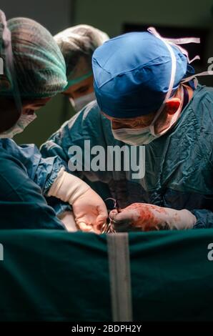 Konzentrierter Arzt und Assistent während einer Hysterektomie im Krankenhaus. Stockfoto