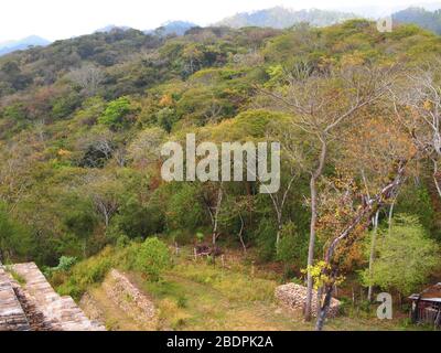 Tropische submontane Wälder in der Nähe der archäologischen Stätte Toniná in Chiapas, im Süden Mexikos Stockfoto