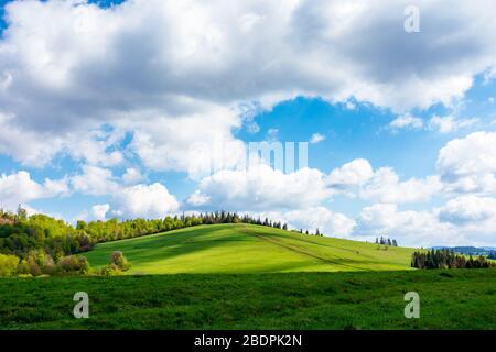 Wunderbares sonniges Wetter mit Wolken über dem Hügel. Grünes Gras auf der Wiese in gedappelten Lichtse, Wald in der Ferne. Tolle Naturlandschaft von carpat Stockfoto