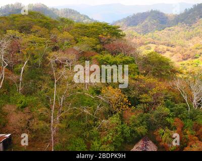 Tropische submontane Wälder in der Nähe der archäologischen Stätte Toniná in Chiapas, im Süden Mexikos Stockfoto