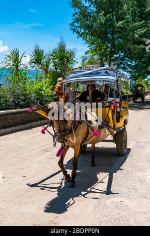 Vertikale Nahaufnahme eines traditionellen Pferdetaxi in Gili Trawangan, Indonesien. Stockfoto