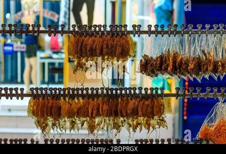 Getrockneter Tintenfisch hängt an der Linie Stockfoto