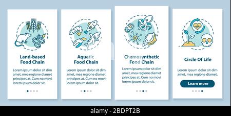 Bildschirm mit Konzepten für die Integration von Mobilanwendungen in die Lebensmittelkette. Biologischer Prozess. Anleitung zur Biodiversität in 4 Schritten. UI-Vektor Stock Vektor