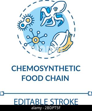 Symbol für das Chemosynthetische Konzept der Lebensmittelkette. Energieerzeuger und Verbraucher Organismen. Marine Ecosystem Idea Thin Line Illustration. Vektor-isolierter Umriss Stock Vektor