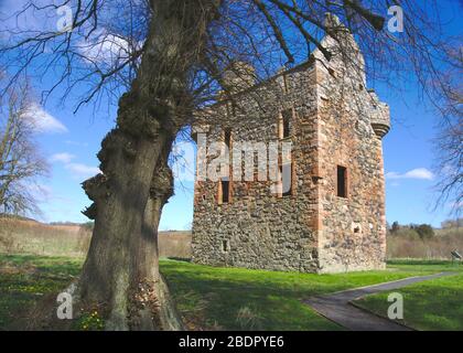 Der zerstörte Greenknewe Tower aus dem 16. Jahrhundert in der Nähe von Gordon, Berwickshire, Scottish Borders, Großbritannien Stockfoto