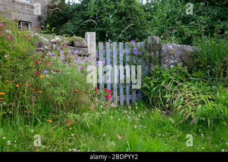 Altes, feuchtes Mauve Gartentor Stockfoto
