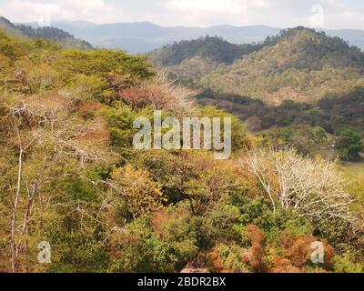 Felder und Wälder in der Nähe der archäologischen Stätte Toniná in Chiapas, im Süden Mexikos Stockfoto