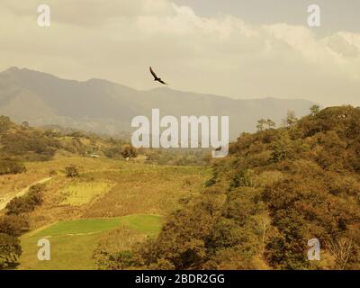 Felder und Wälder in der Nähe der archäologischen Stätte Toniná in Chiapas, im Süden Mexikos Stockfoto