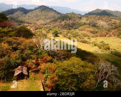 Tropische submontane Wälder in der Nähe der archäologischen Stätte Toniná in Chiapas, im Süden Mexikos Stockfoto