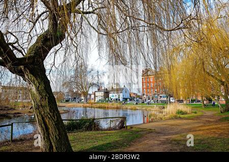 Barnes Dorf grün und Teich West London England GB Stockfoto