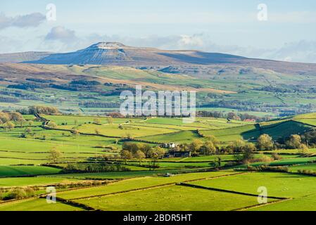 Blick Richtung Ingleborough von Newbiggin Crags auf Farleton Fell, Cumbria Stockfoto