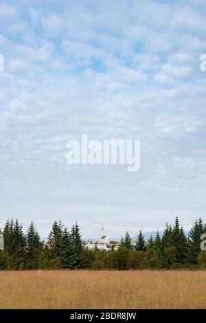 Hallgrímskirkja aus der Sicht des Hügels Öskjuhlíð in Reykjavik, Island Stockfoto