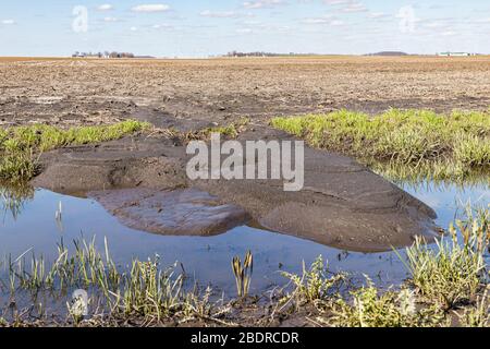 Bodenerosion, die durch Regen und Überschwemmungen vom Ackerfeld in den Graben fließt. Konzept der Boden- und wasserschutzhaltenden Anbaumethoden Stockfoto