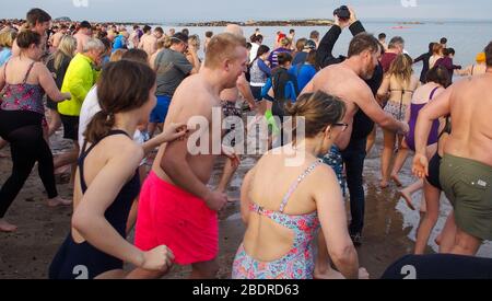 Loony Dook, Badegäste in North Berwick am 1. Januar 2020 Stockfoto