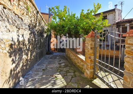 Eine enge Straße zwischen den Häusern von Castellabate, in der Region Kampanien, Italien Stockfoto