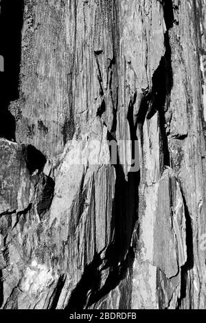 North Wales Felsen bei Lyn Idwal, Großbritannien Stockfoto