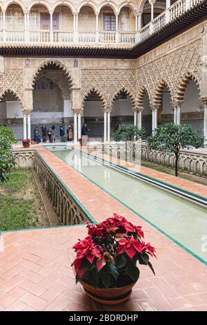 Patio de las Doncellas. Der Hof der Maiden. Royal Alcazars, Sevilla, Provinz Sevilla, Andalusien, Spanien. Der monumentale Komplex, der von der Ca gebildet wurde Stockfoto