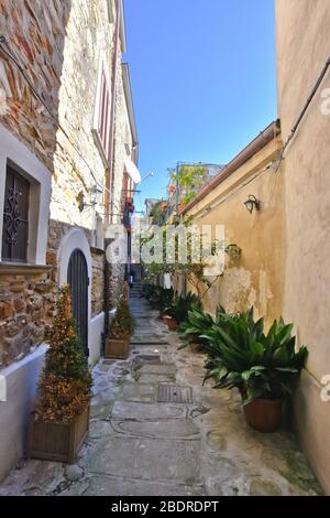 Eine enge Straße zwischen den Häusern von Castellabate, in der Region Kampanien, Italien Stockfoto