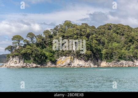 Landschaft mit Felsen und üppiger Regenwaldvegetation auf Kap, aufgenommen in hellem Frühlingslicht an der Frenchman Bay, nahe Kaiteriteri, Abel Tasman Park, Süd Stockfoto
