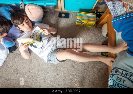 Junge Brüder liegen auf dem Boden und lesen gemeinsam ihre Bücher. Dies ist während der Coronavirus-Pandemie und der lesekennung eine gute Bildungsaktivität. Stockfoto