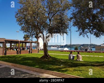 Lissabon, Portugal - CA. März 2020: Olivenbaumgarten im CCB Belem Kulturzentrum Stockfoto