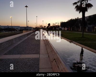 Olive Tree Garden in CCB - Belem Cultural Center in der Dämmerung Stockfoto