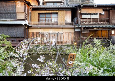 Fluss mit Kirschblüte im Bezirk Gion, Kyoto Stockfoto