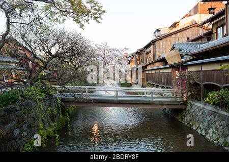 Fluss mit Kirschblüte im Bezirk Gion, Kyoto Stockfoto