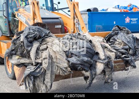 Park persönlichen Bedienkoffer Traktor, Transport von Kunststoff-Meeresschutt bei Big Shell Beach Cleanup gesammelt. Stockfoto