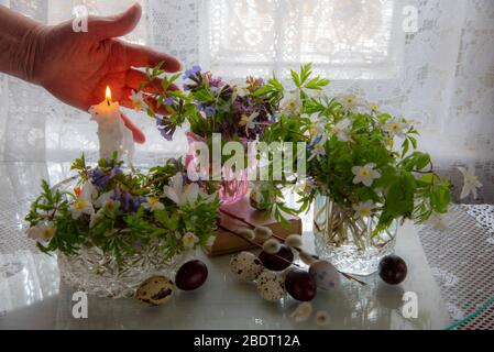 Mehrere Vasen mit Frühlingsblumen und Ostereiern auf einem hellen Hintergrund. Die Hand einer älteren Frau bedeckt die Kerzenflamme. Stockfoto