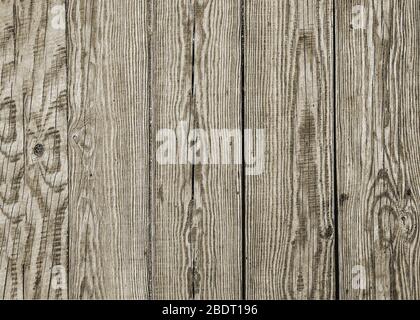 Optionen für die Gestaltung von Hintergrundbildern von Holzarten. Stockfoto