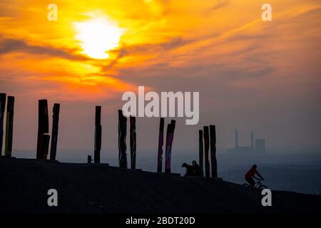 Der Schleuder Haniel, 185 Meter hoher Schlaghaufen, in der Grube Prosper Haniel, 2019 geschlossen, Kunstwerk Totems des Bildhauers Augustin Ibarrola, Sonnenuntergang Stockfoto