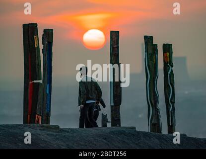 Der Schleuder Haniel, 185 Meter hoher Schlaghaufen, in der Grube Prosper Haniel, 2019 geschlossen, Kunstwerk Totems des Bildhauers Augustin Ibarrola, Sonnenuntergang Stockfoto