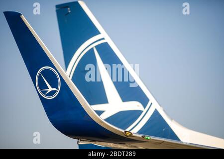 Otopeni, Rumänien - 9. April 2020: Tarom (die operierende Fluggesellschaft Rumäniens) Logo auf einem Flugzeug Flügel und Schwanz. Stockfoto