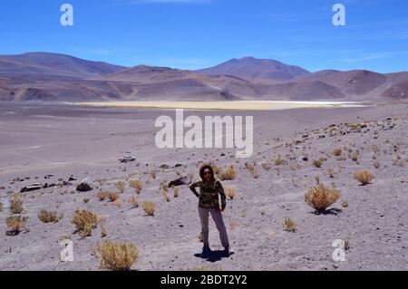 Schöne Lagune am Fuße des majestätischen Socompa Vulkan, pune von Salta, Argentinien. Stockfoto