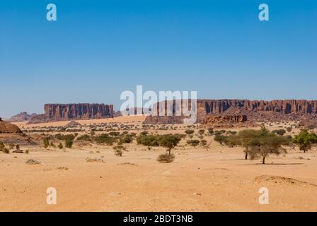 Felsformation und Wüstenvegetation, Sahara-Dessert, Tschad, Afrika Stockfoto