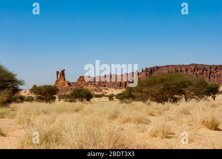 Natürliche Felsformation und Wüstenvegetation - trockenes Gras und niedrige Bäume, Sahara Wüste, Tschad, Afrika Stockfoto