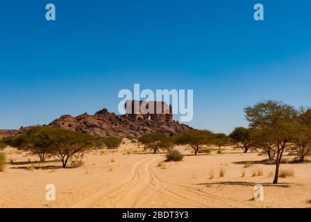 Natürliche Felsformation und Wüstenvegetation - trockenes Gras und niedrige Bäume, Sahara Wüste, Tschad, Afrika Stockfoto