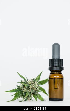 Nahaufnahme von Hanföl und Marihuana-Knospen. Heilextrakt Öl in einer Flasche. Konzept der Verwendung von Cannabis Kräuter und Blätter für die Behandlung Stockfoto